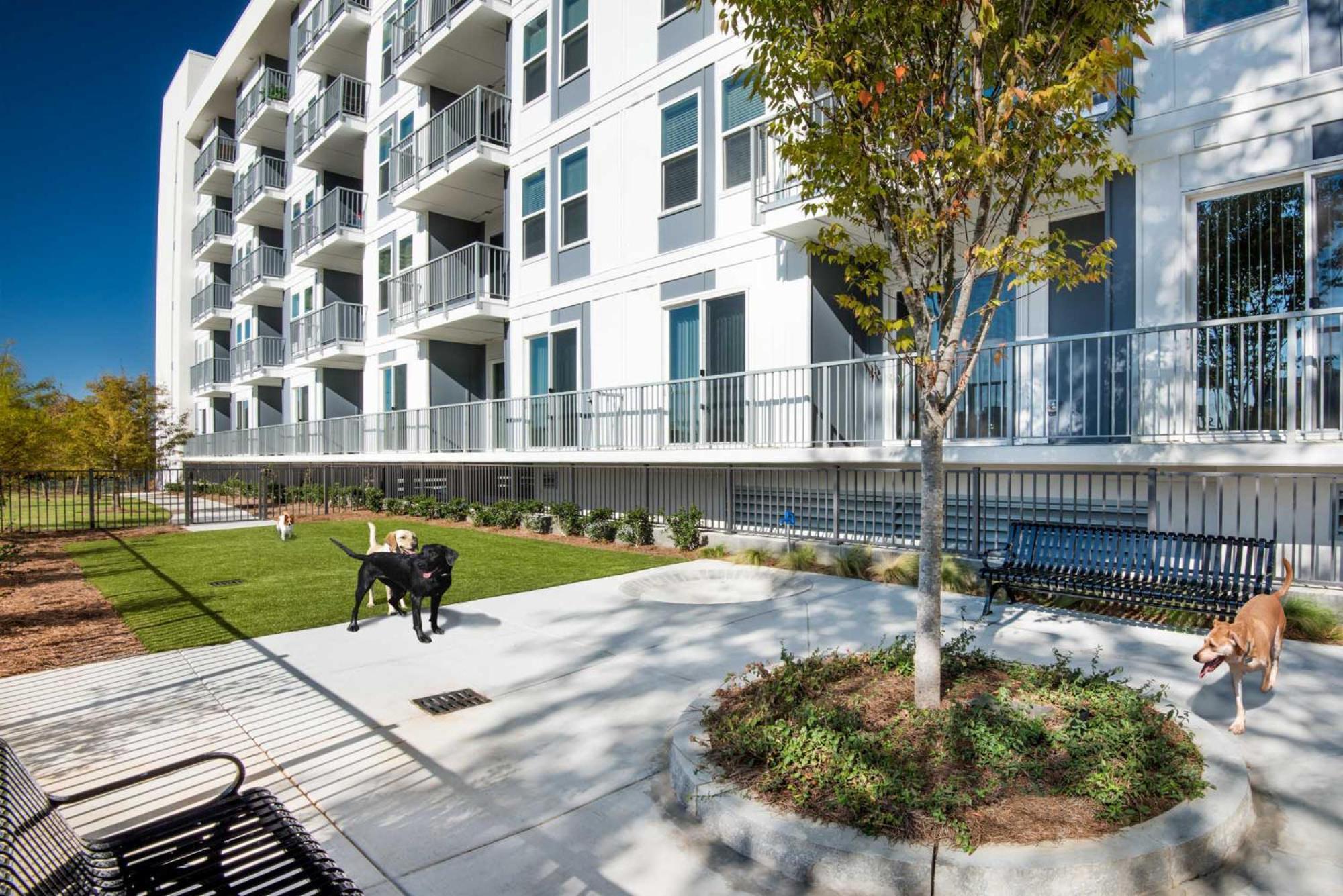 Spectacular Apartments By Bca Furnished Apartments Atlanta Bilik gambar